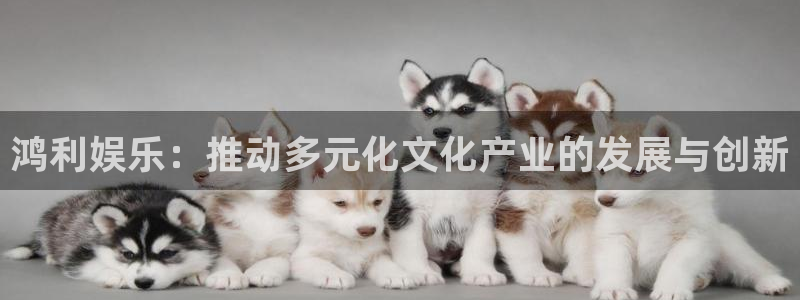 彩名堂官网免费下载