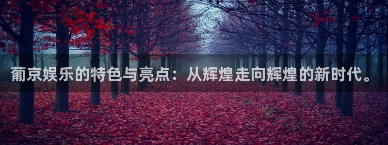 彩名堂全天免费计划官网