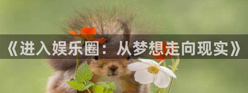 彩名堂官方平台