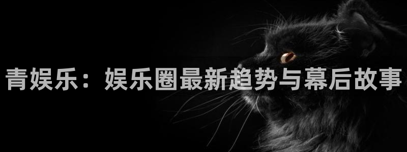 彩名堂旧版本