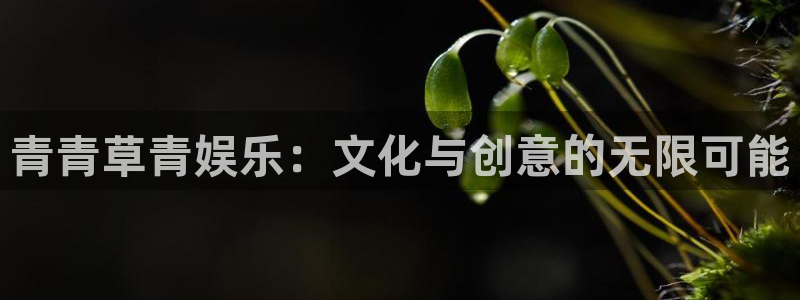 彩名堂