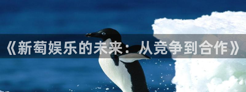彩名堂官方平台