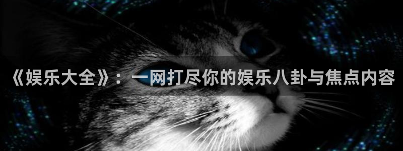 彩名堂免费