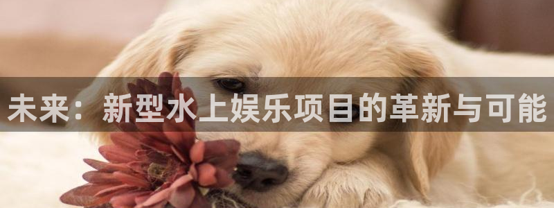 彩名堂计划旧版本