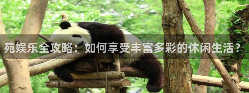 彩名堂计划软件下载