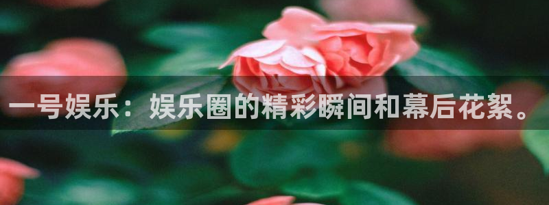 彩名堂手机版下载