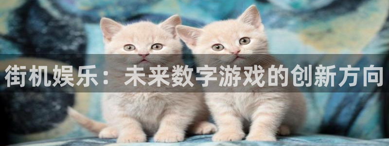 彩名堂5.0计划